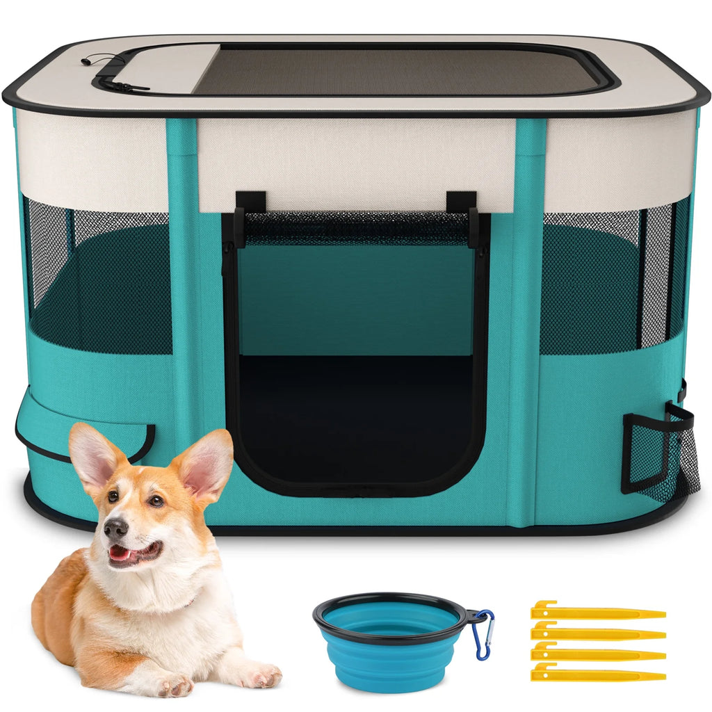 Teal and white pet playpen tent with open door, dog sitting beside water bowl and stakes.
