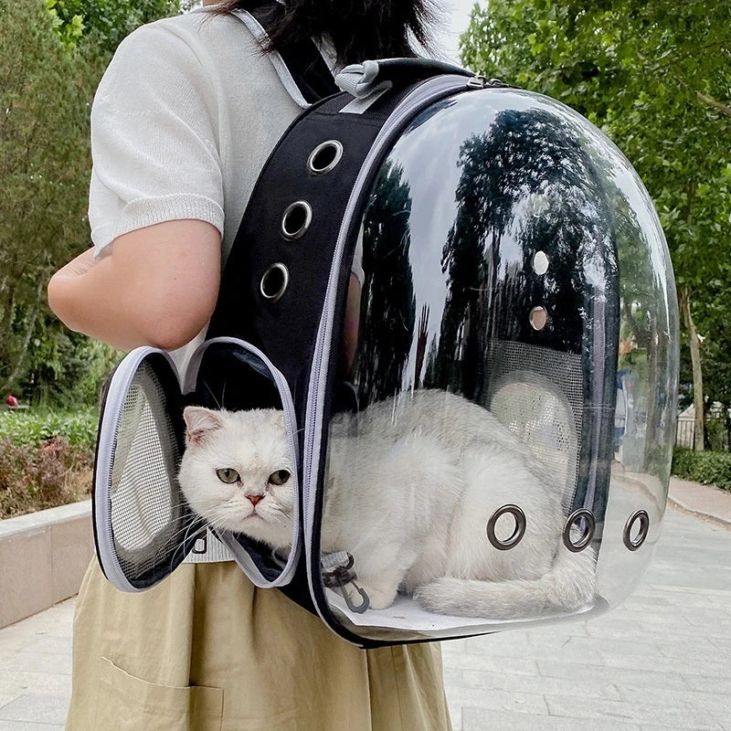 Clear pet backpack carrier with circular window and mesh sides holding a white cat