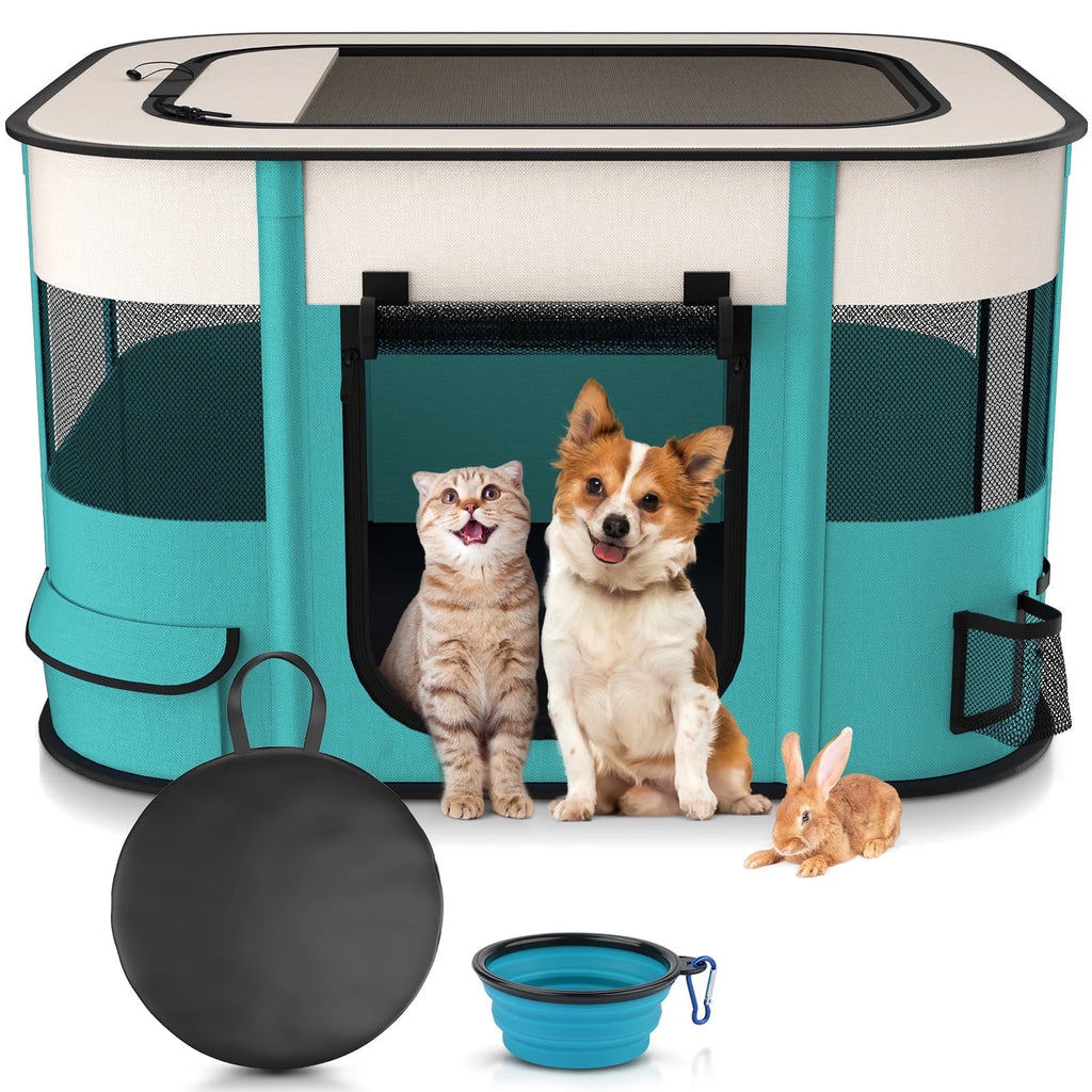 Teal and white foldable pet playpen tent with open front door, with dog and toy ball.