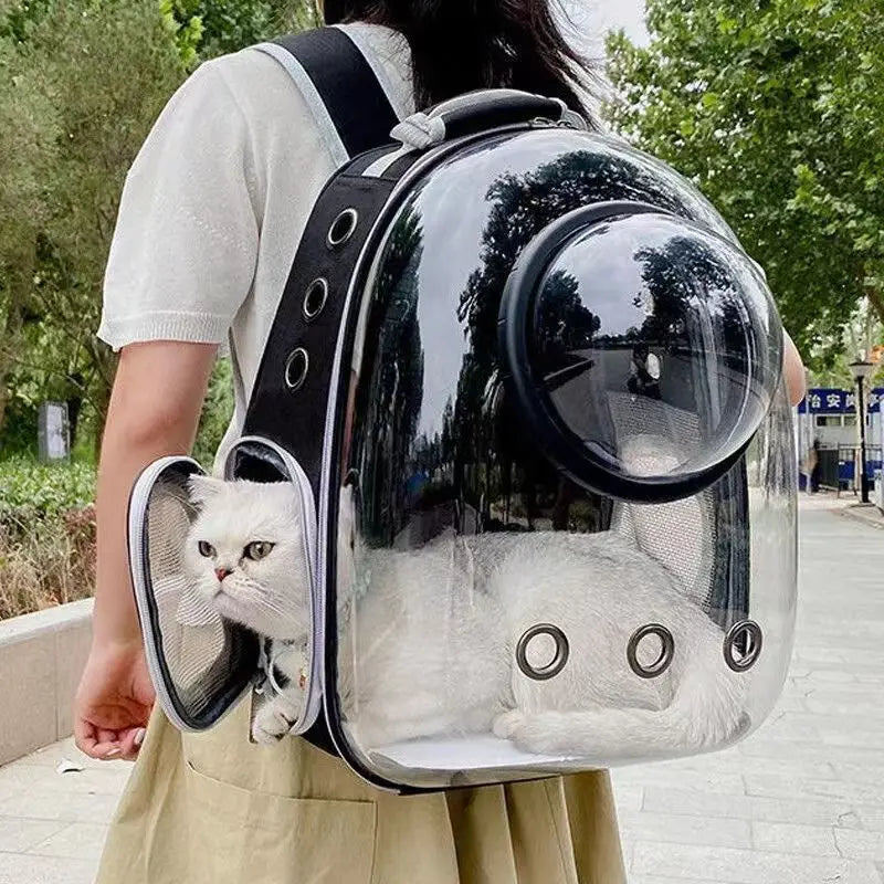 Clear bubble pet backpack carrier with blue interior mesh and cat peeking out